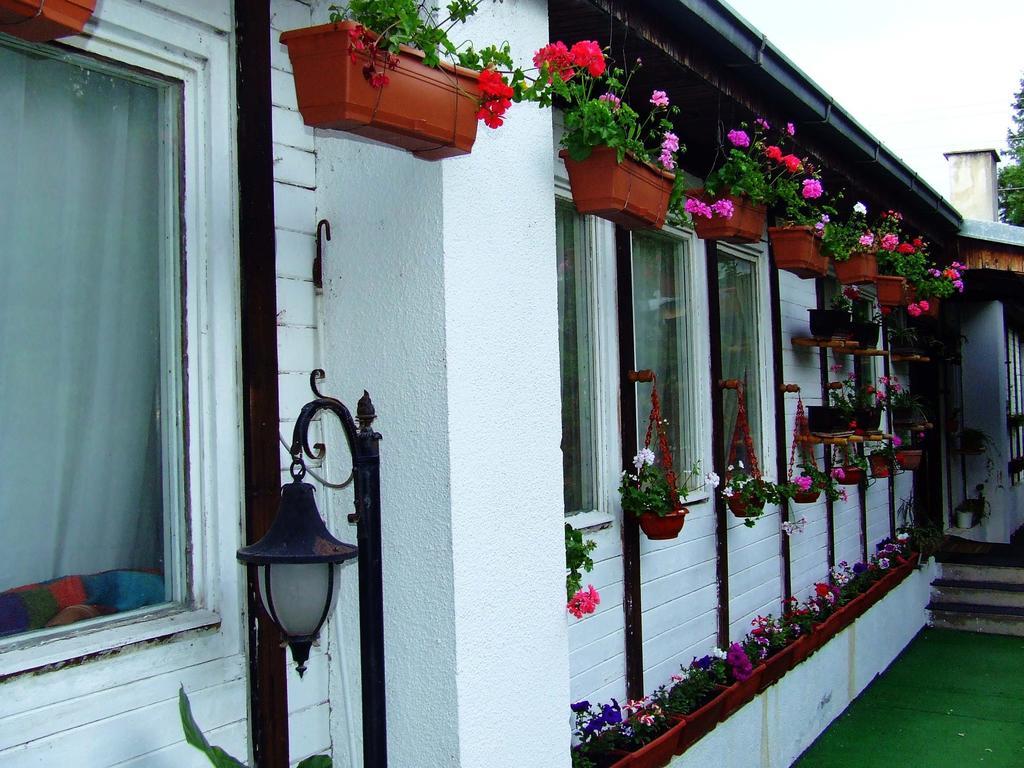 Hostel Domestika Bitola Rom bilde